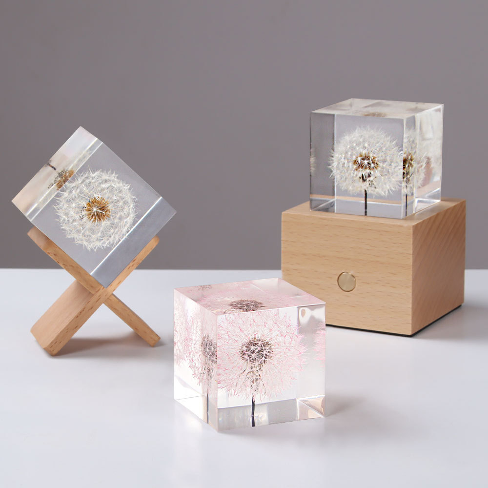 Dandelion preserved fresh flow - Flower Preservation Resin 评论和价格
