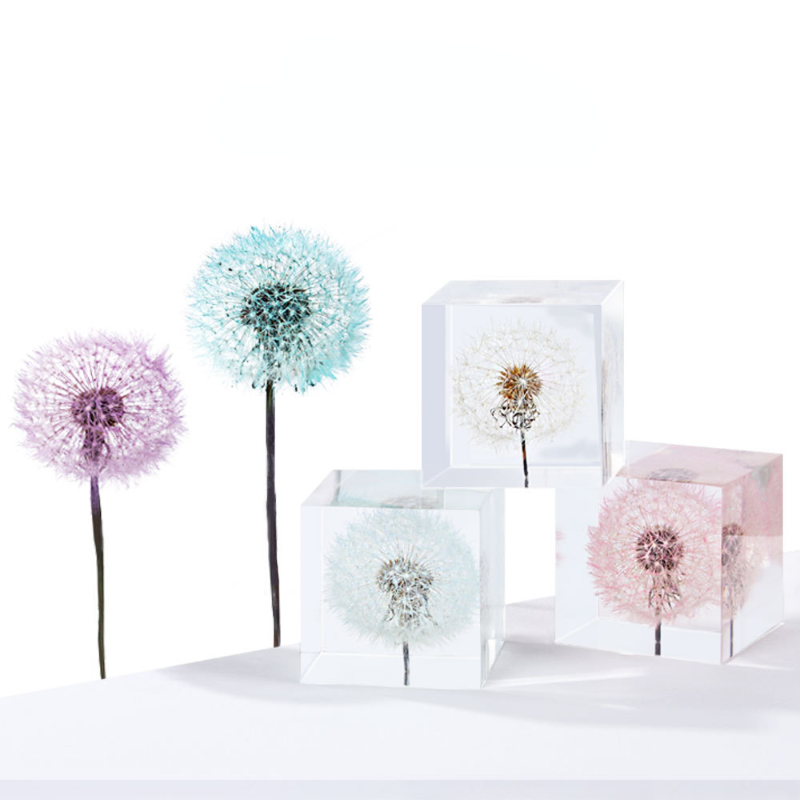 Dandelion preserved fresh flow - Flower Preservation Resin 评论和价格